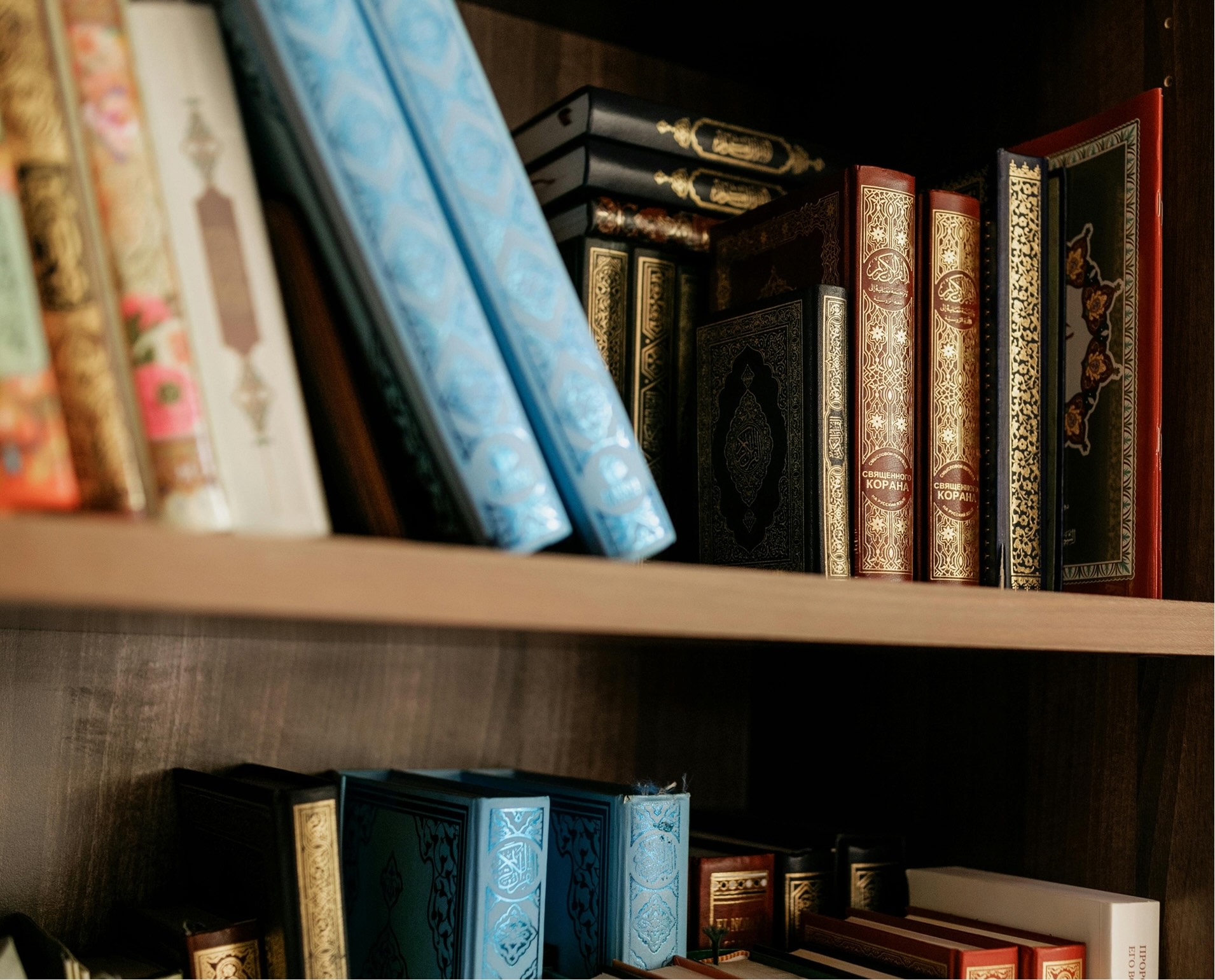 Books arranged on shelves